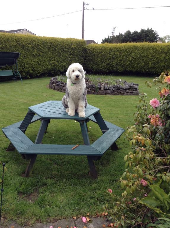 Riverwalk House B&B Oughterard Rum bild