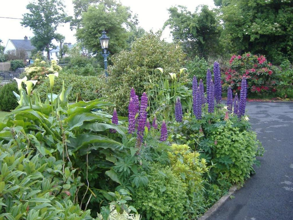 Riverwalk House B&B Oughterard Exteriör bild