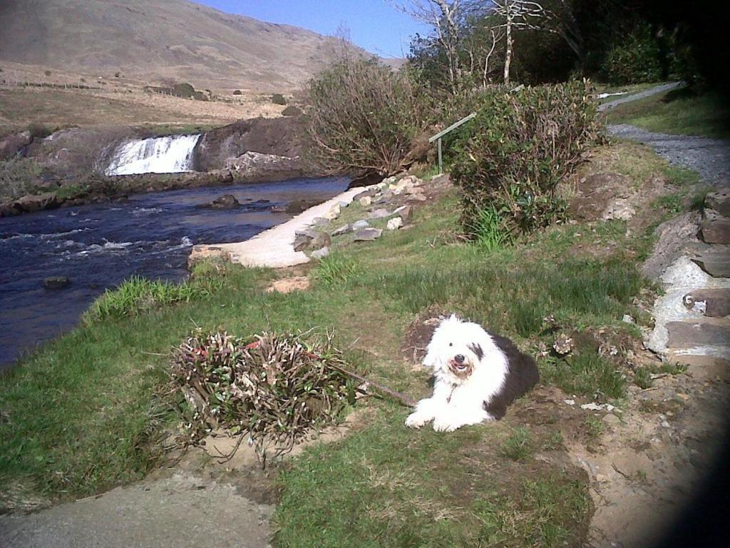 Riverwalk House B&B Oughterard Exteriör bild