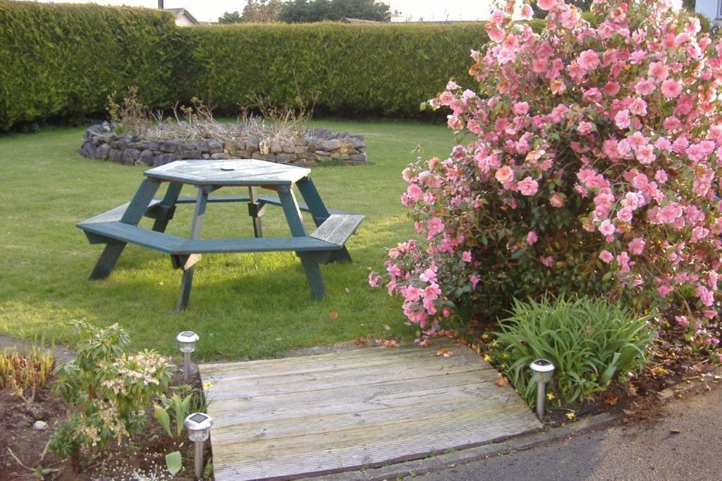 Riverwalk House B&B Oughterard Exteriör bild