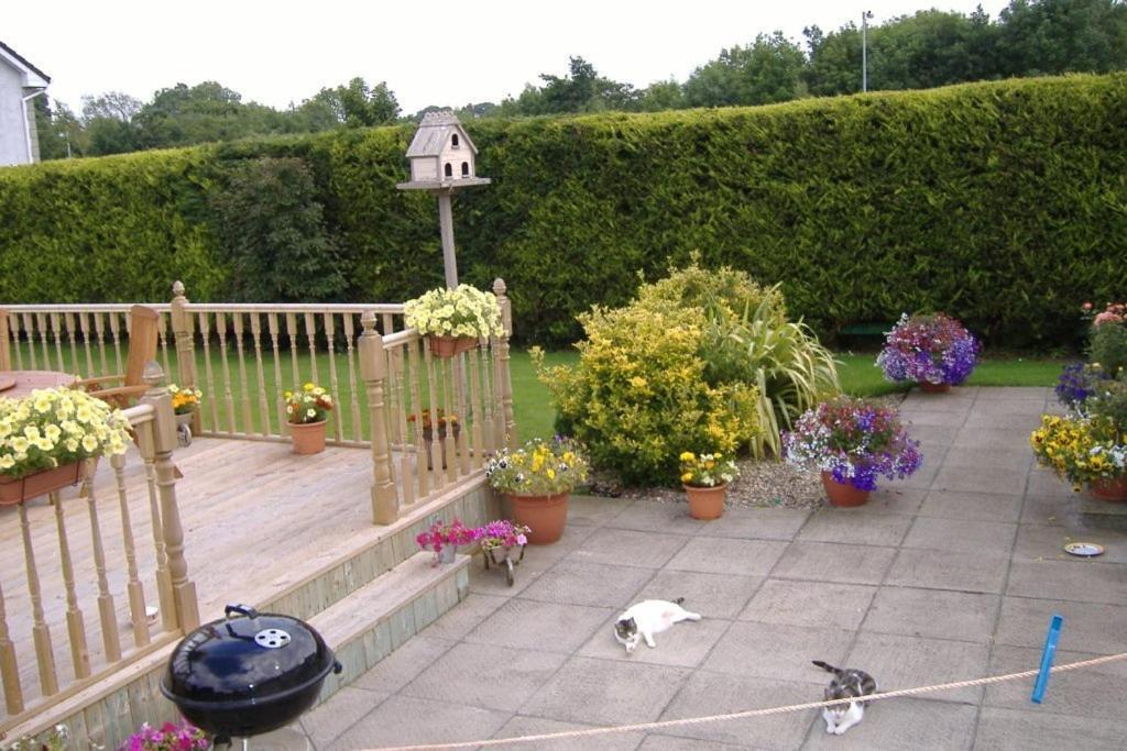 Riverwalk House B&B Oughterard Exteriör bild