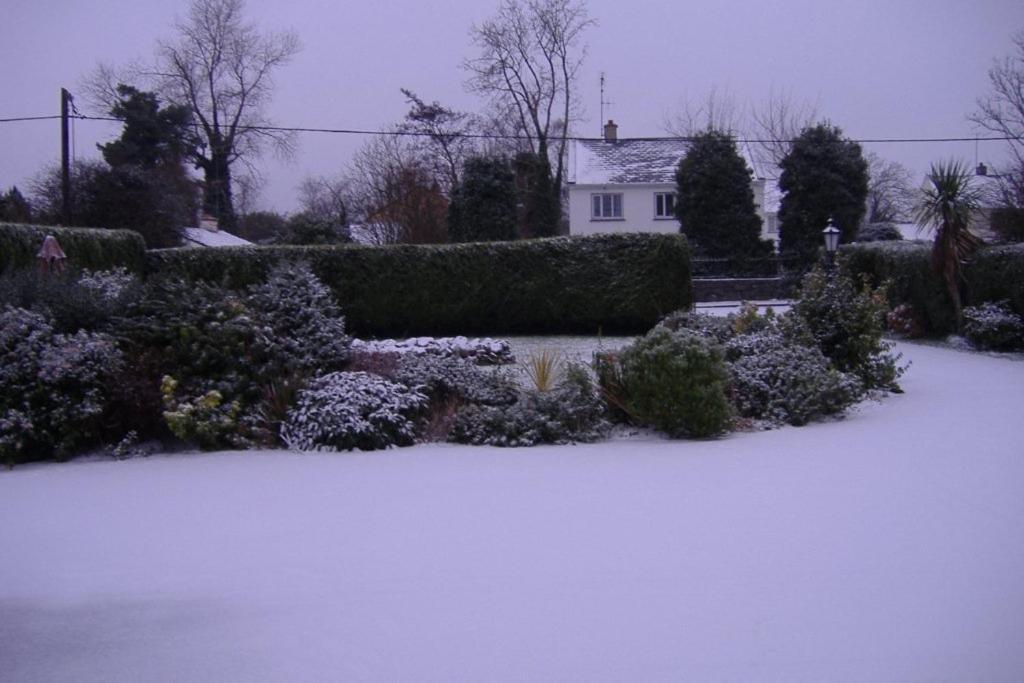 Riverwalk House B&B Oughterard Exteriör bild