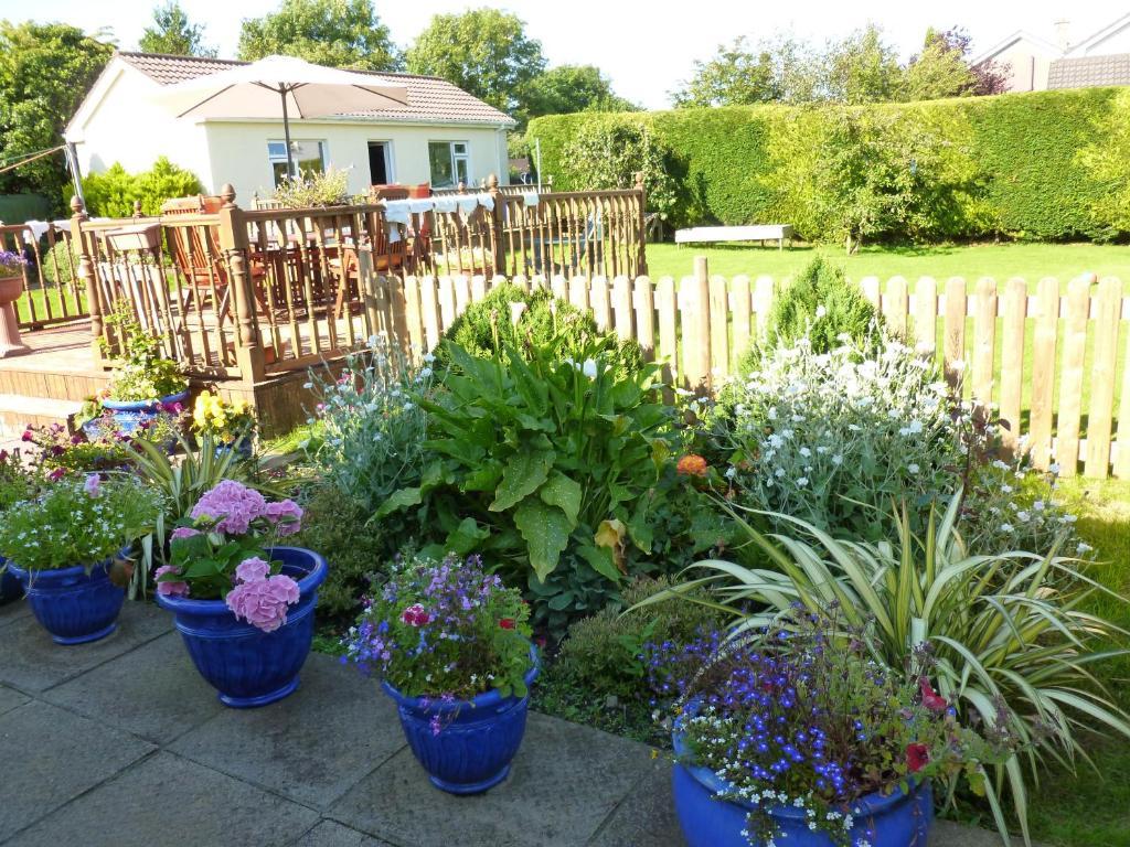Riverwalk House B&B Oughterard Exteriör bild