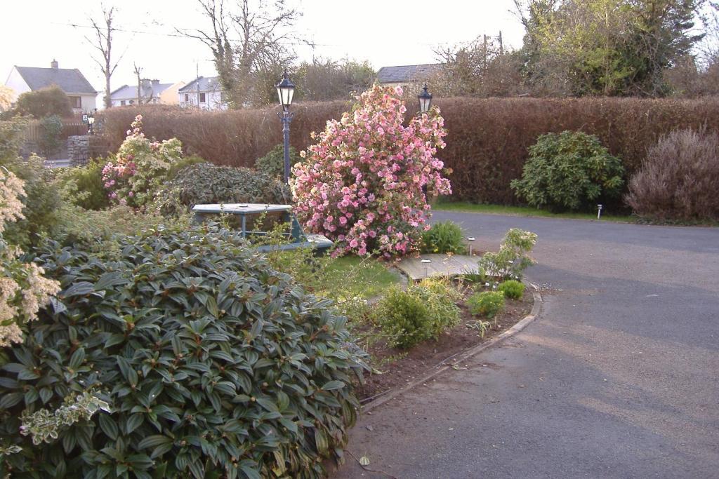 Riverwalk House B&B Oughterard Exteriör bild